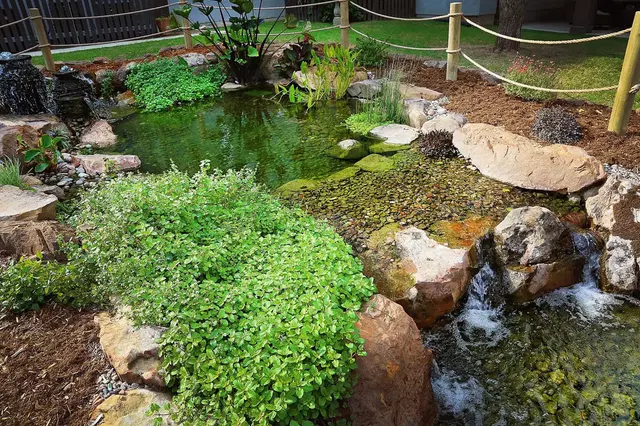 Landscape Design Contractor - Backyard Depot