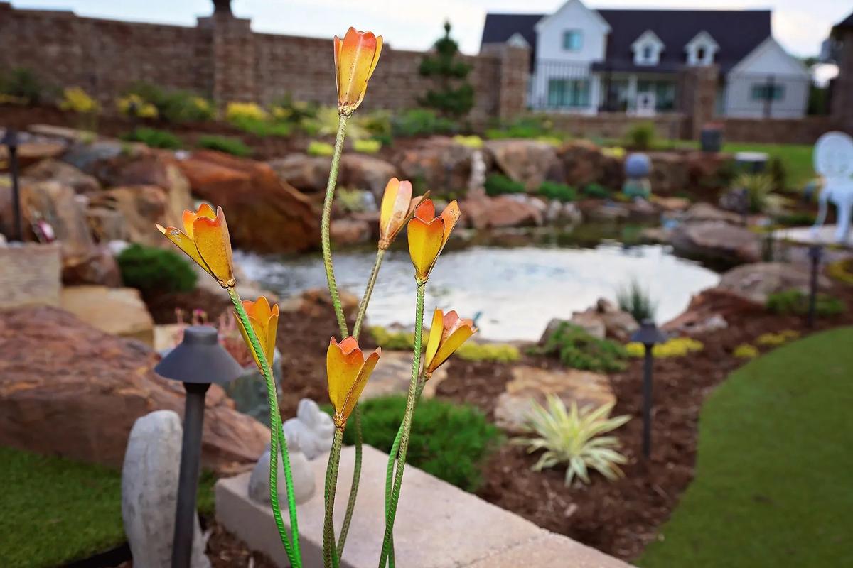 About Pond Cleaning Services - Backyard Depot